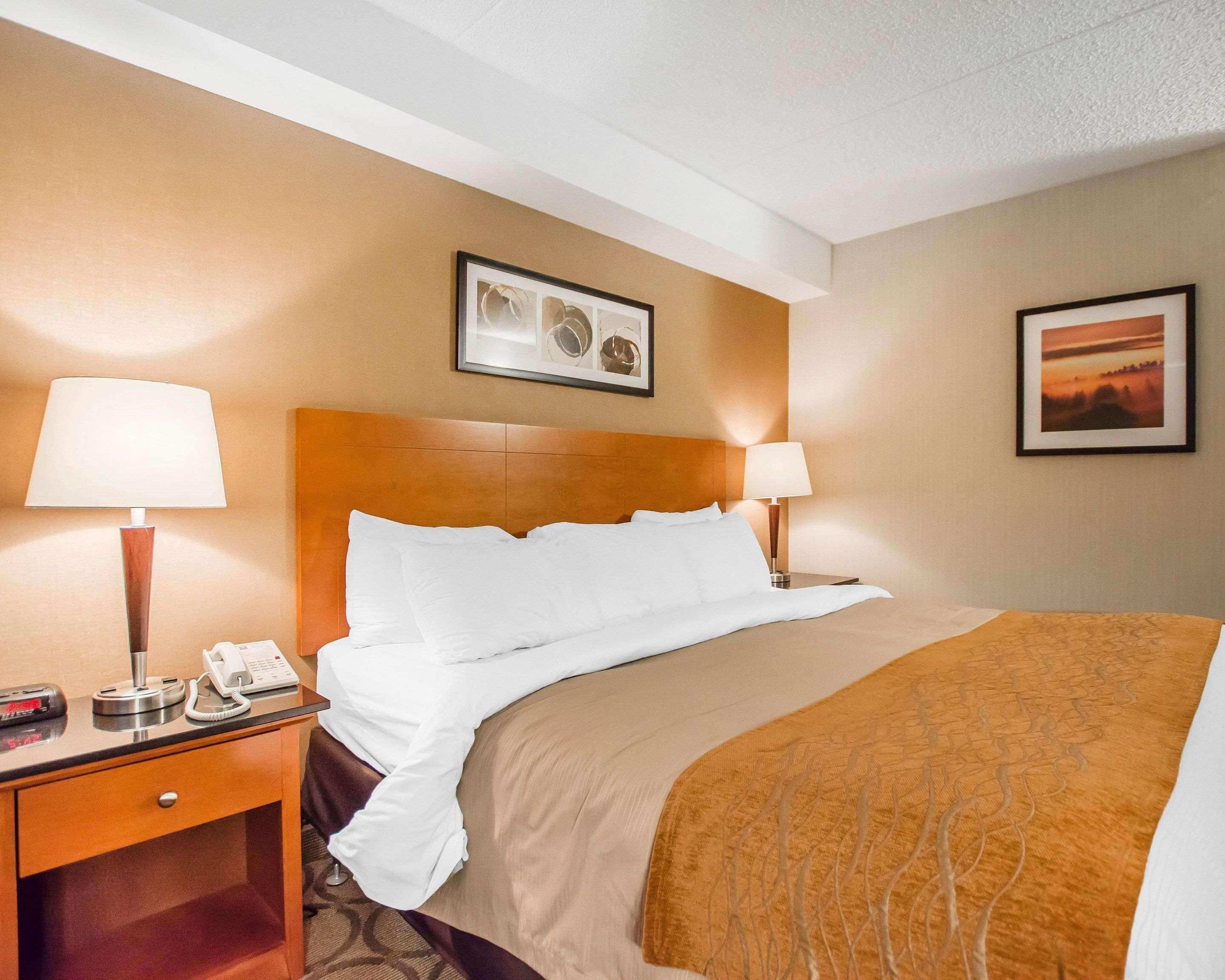 אדמונדסטון Comfort Inn מראה חיצוני תמונה