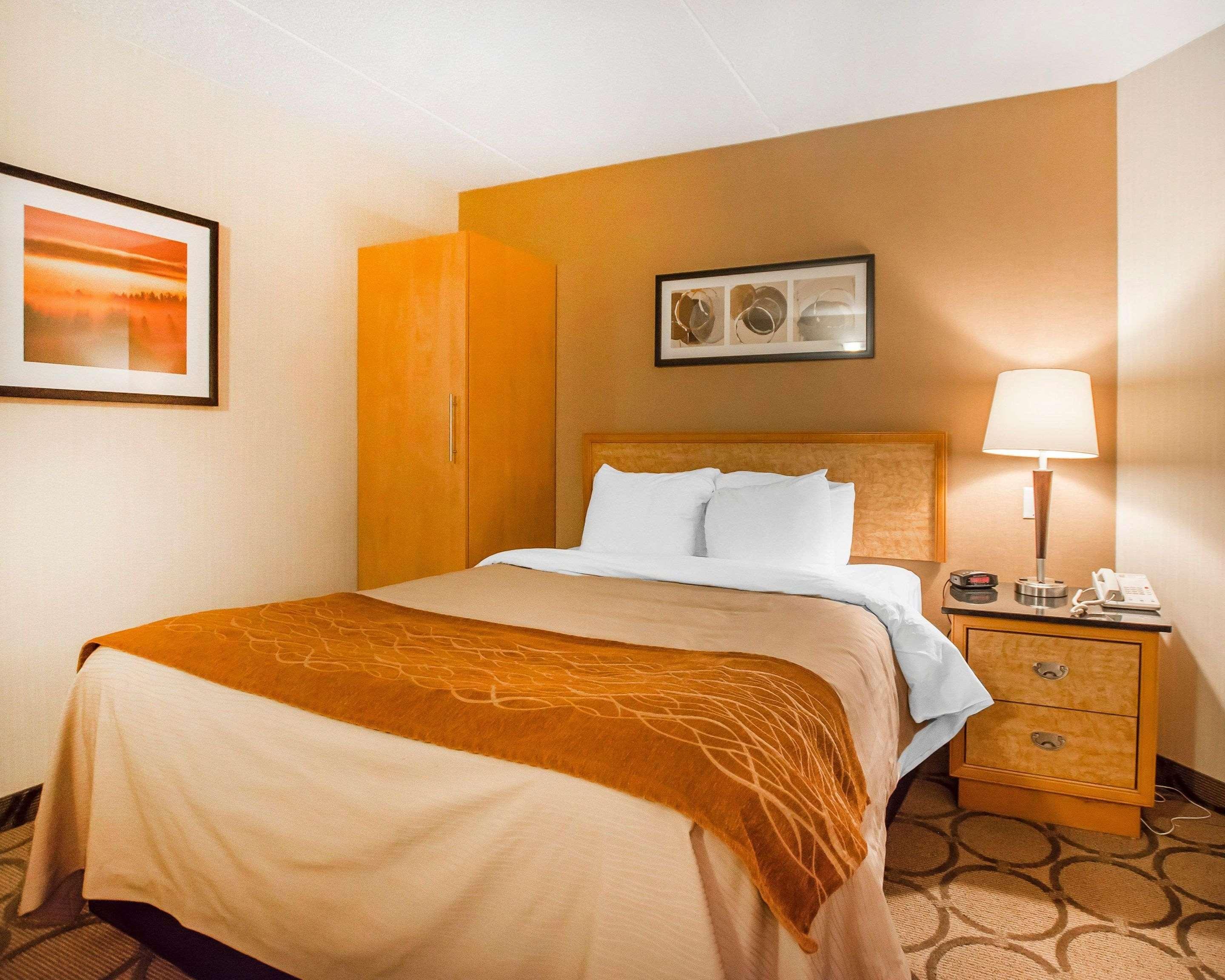 אדמונדסטון Comfort Inn מראה חיצוני תמונה