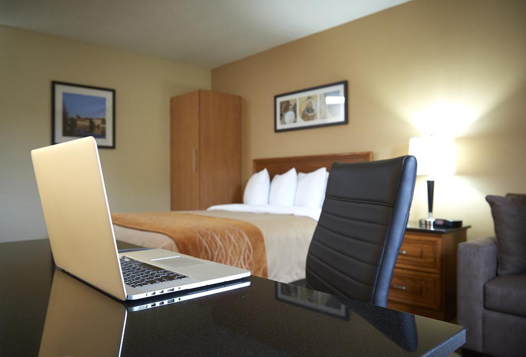 אדמונדסטון Comfort Inn מראה חיצוני תמונה