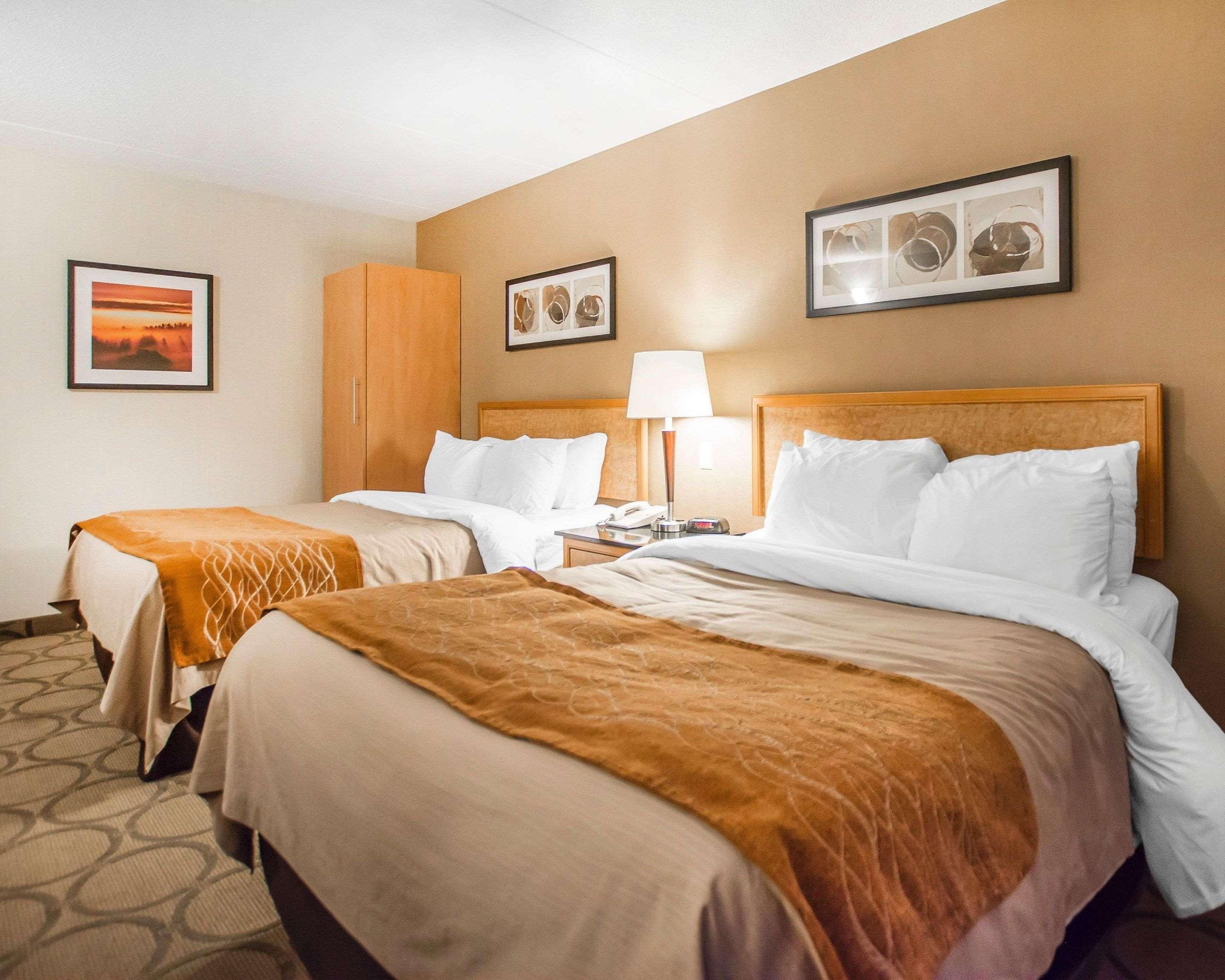 אדמונדסטון Comfort Inn מראה חיצוני תמונה