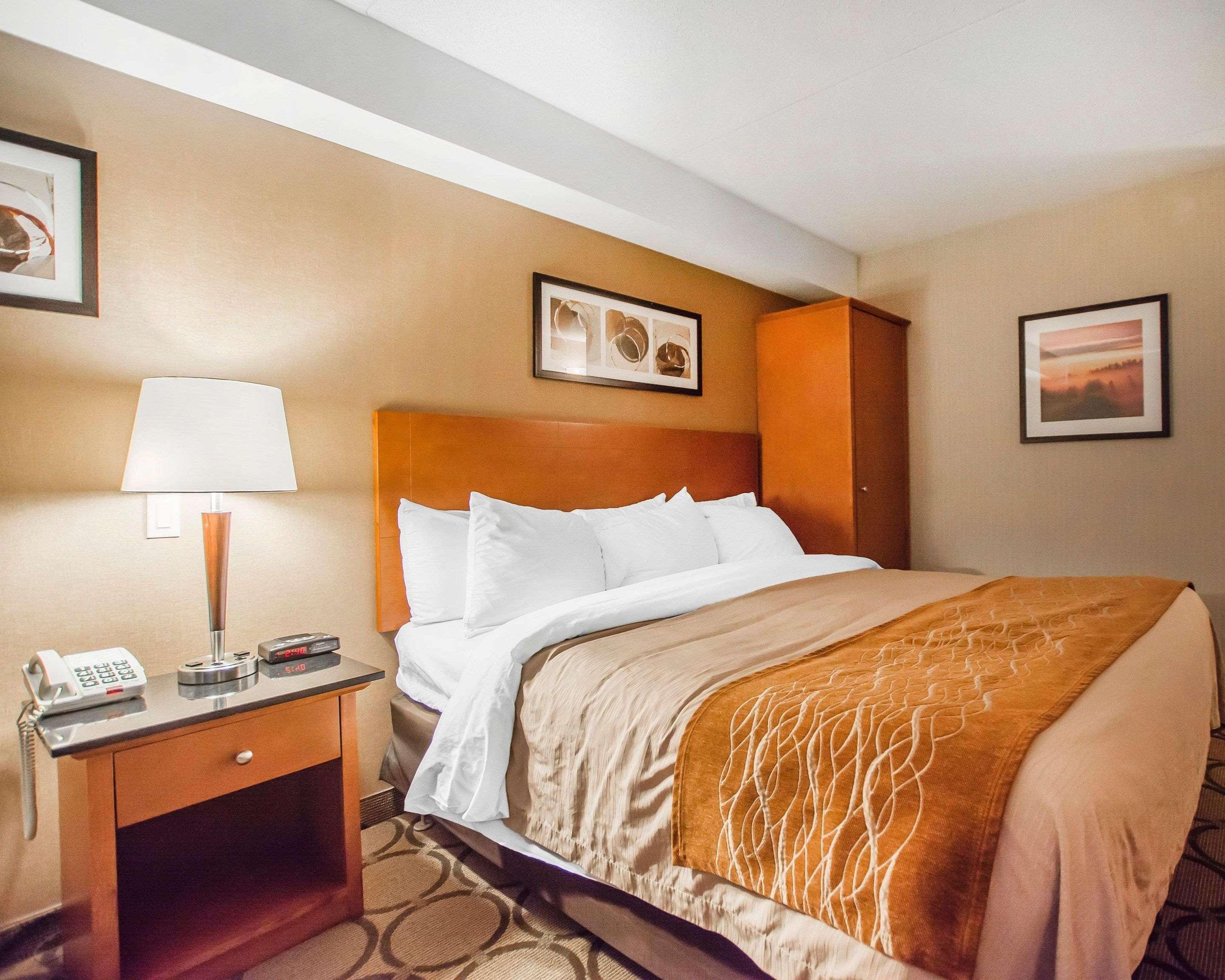 אדמונדסטון Comfort Inn מראה חיצוני תמונה