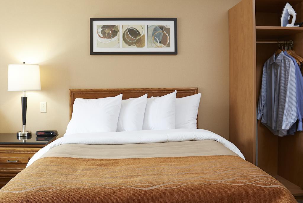 אדמונדסטון Comfort Inn מראה חיצוני תמונה