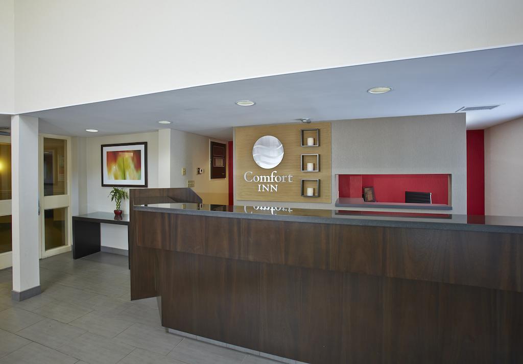 אדמונדסטון Comfort Inn מראה חיצוני תמונה